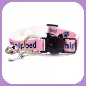 Collar-205
